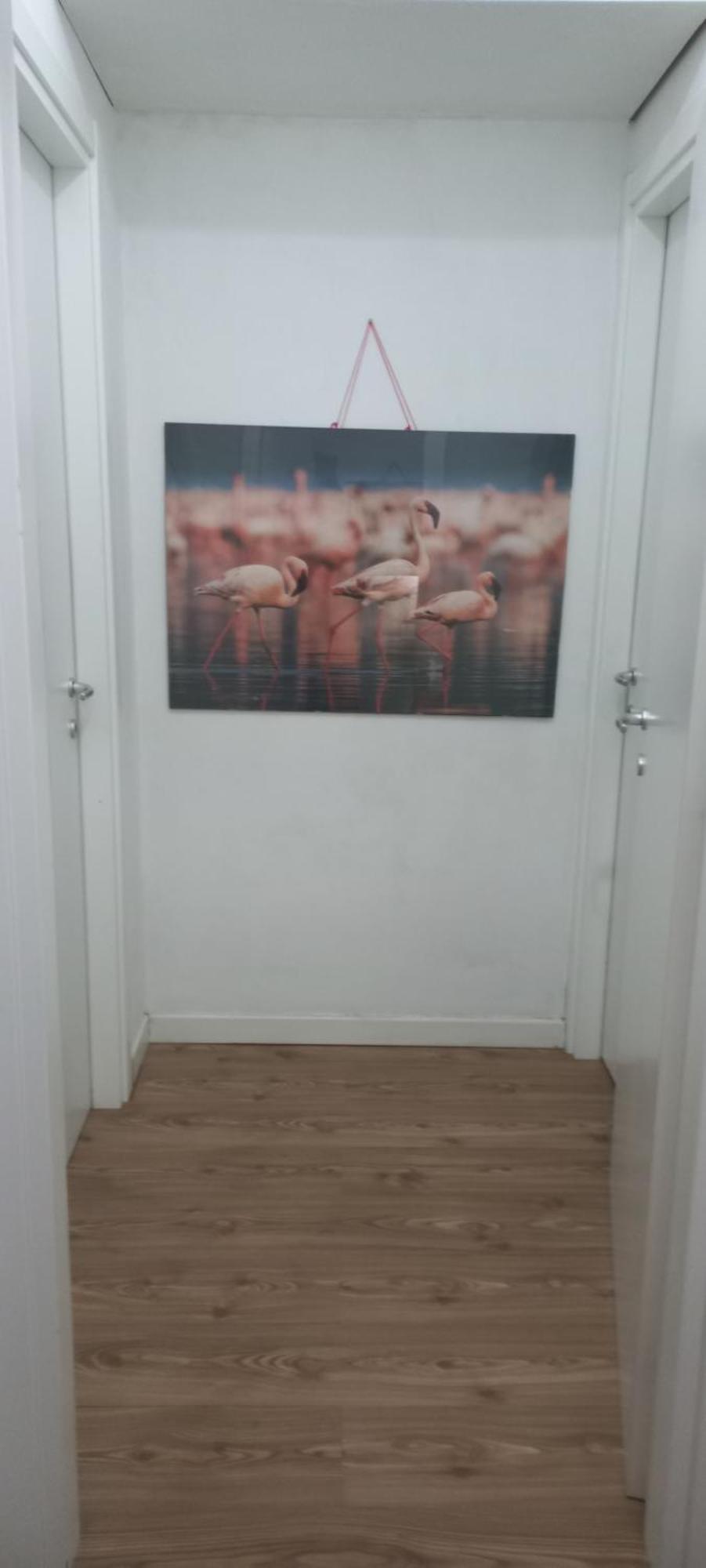 B&B Leo Каляри Екстериор снимка